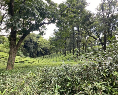 PHOTO-2022-02-06-10-40-38